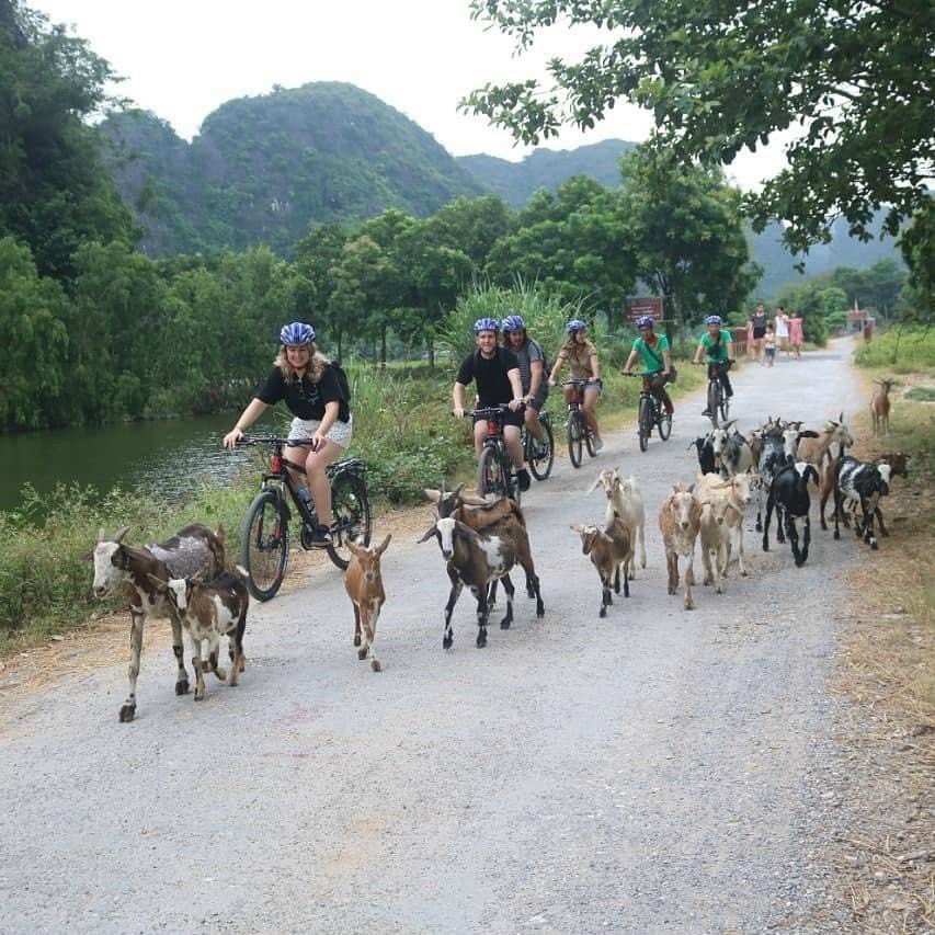 cycling experience