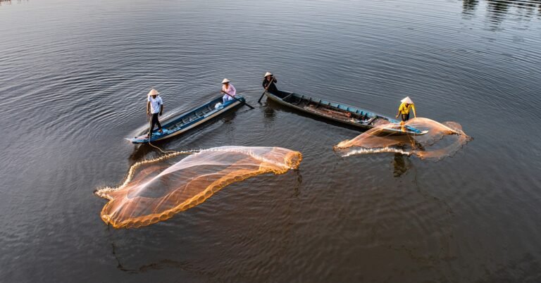 throw a fishing net