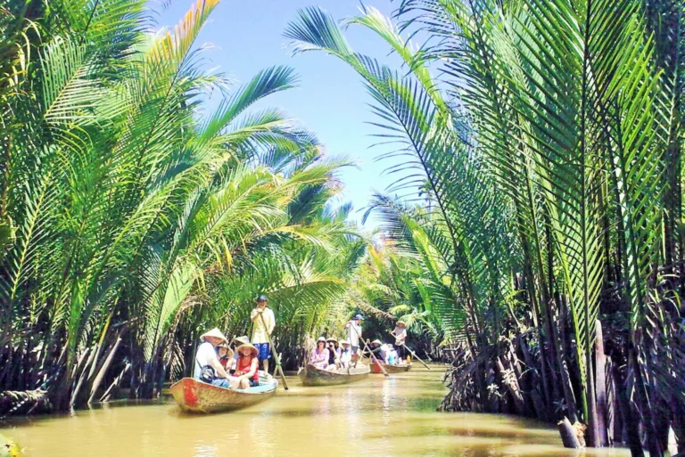 Boating along the palm river