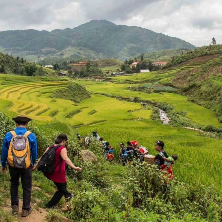 Trekking in sapa