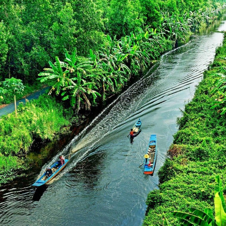 mangrove boating