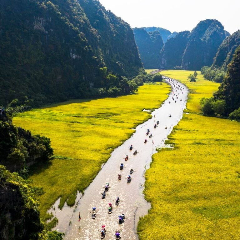 boat to Trang An