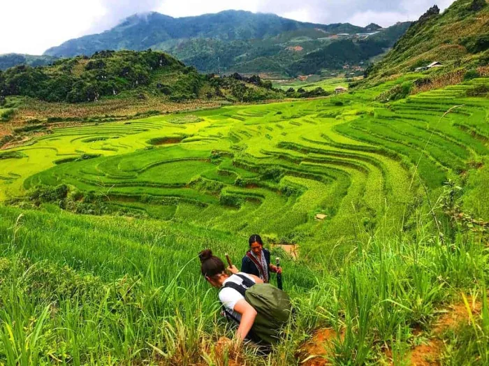 trekking tour in sapa