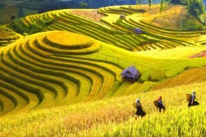 trekking in sapa vietnam