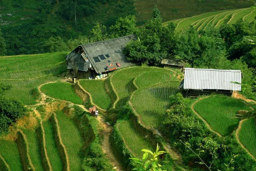 Ban Ho Village Sapa - An Attractive Tourist Destination In Vietnam