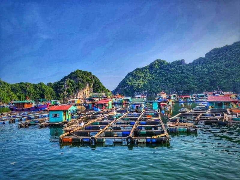 Explore the Enchanting Cua Van Floating Fishing Village