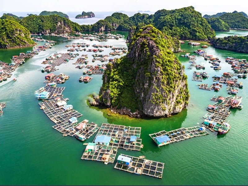 Explore the Enchanting Cua Van Floating Fishing Village