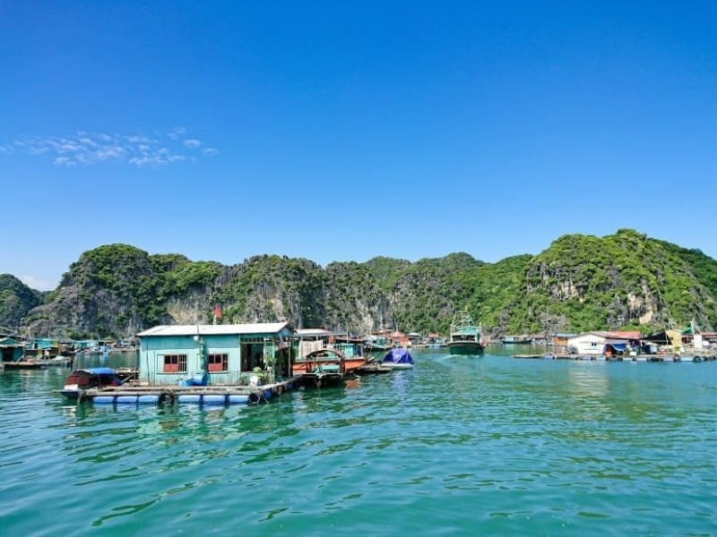 Explore the Enchanting Cua Van Floating Fishing Village