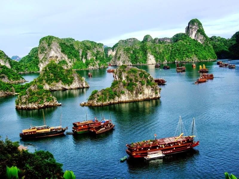 Halong Bay Islands: A Treasure Trove of Natural Beauty