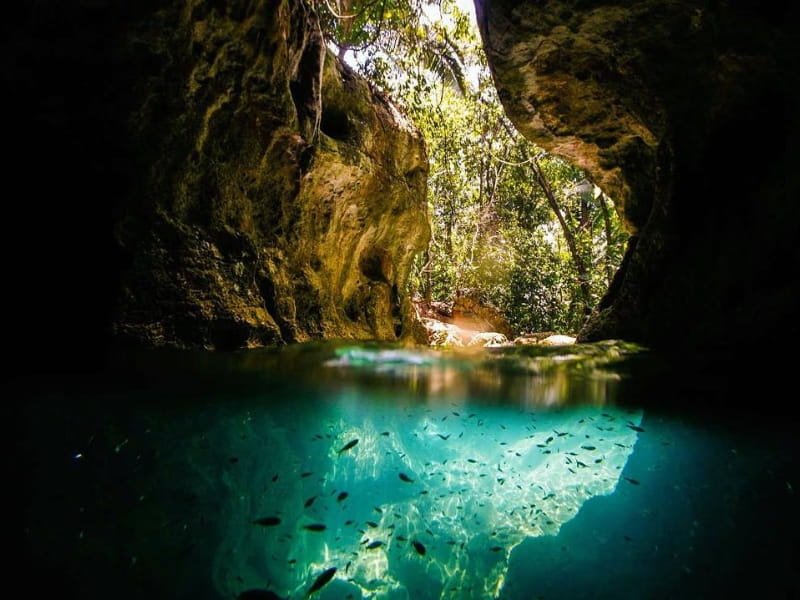 Halong Bay Islands: A Treasure Trove of Natural Beauty