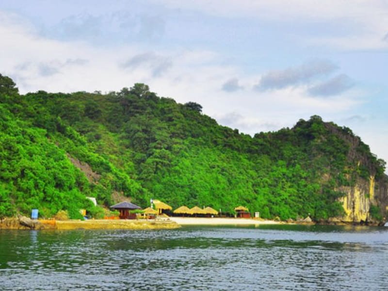 Halong Bay Islands: A Treasure Trove of Natural Beauty