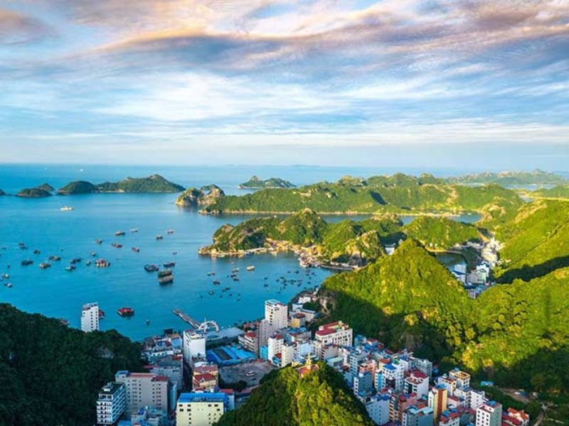 Halong Bay Islands: A Treasure Trove of Natural Beauty