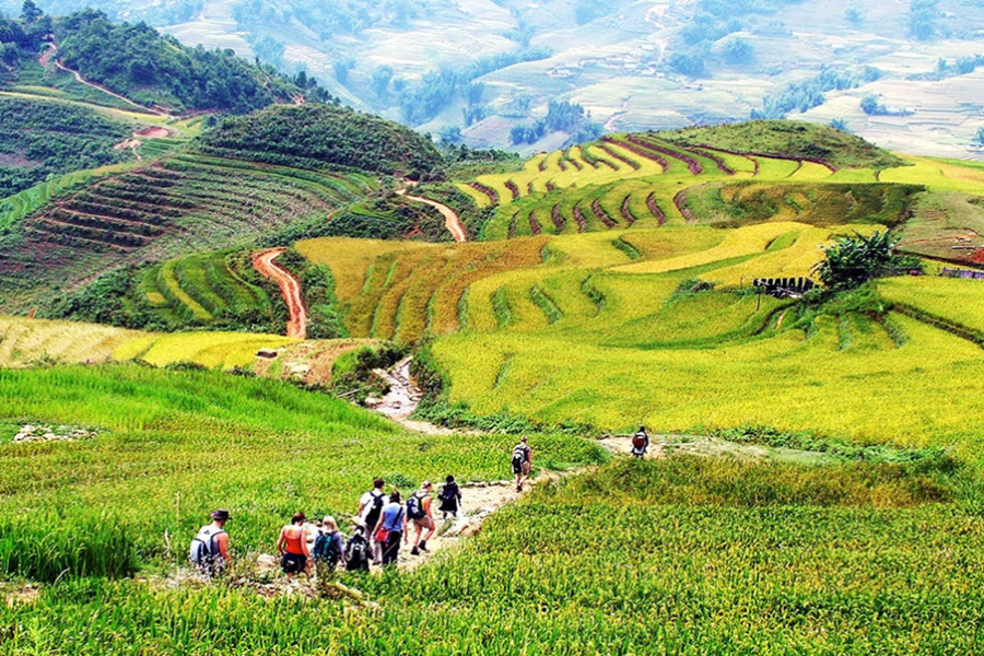 Top 7 Most Peaceful Sapa Village Vietnam (Must Visit)