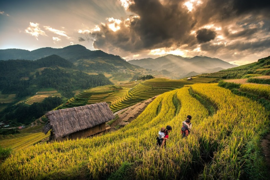 Top 7 Most Peaceful Sapa Village Vietnam (Must Visit)