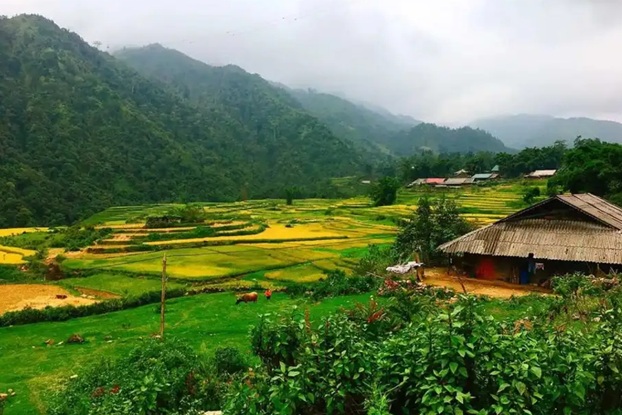 The Detailed Guides to Sin Chai Village Sapa Vietnam