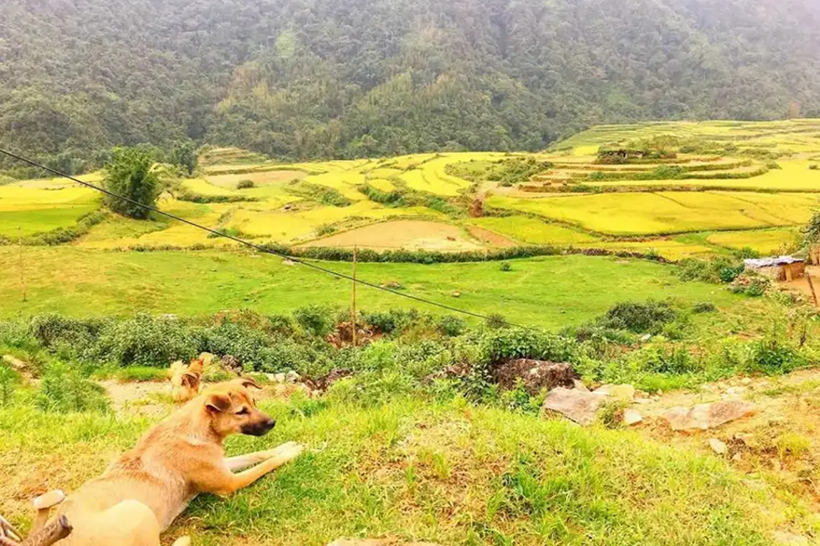 The Detailed Guides to Sin Chai Village Sapa Vietnam