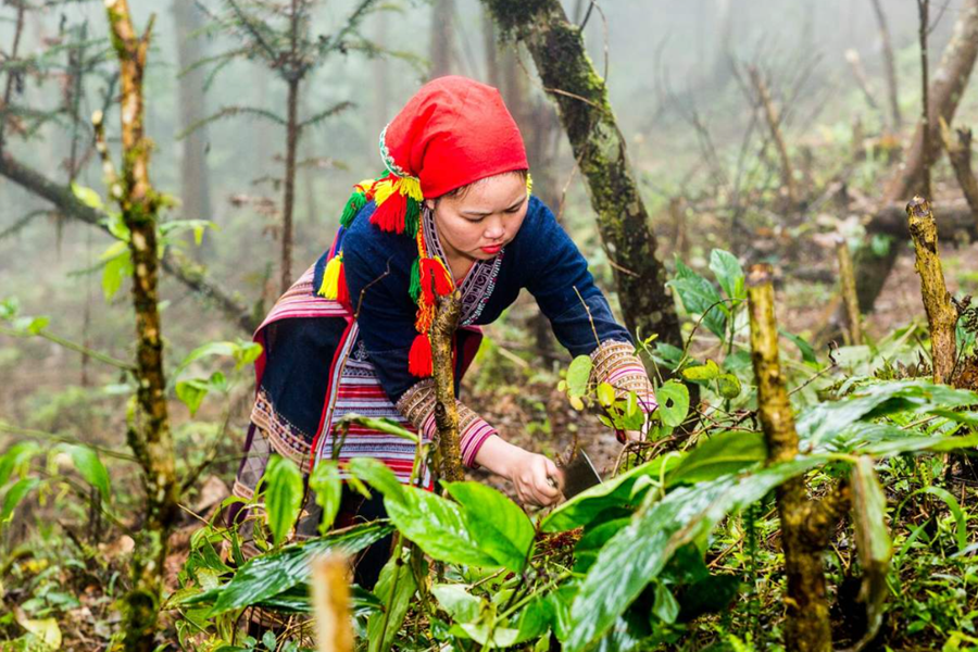 Ta Phin Village Sapa - Top Authentic Experience For Tourists