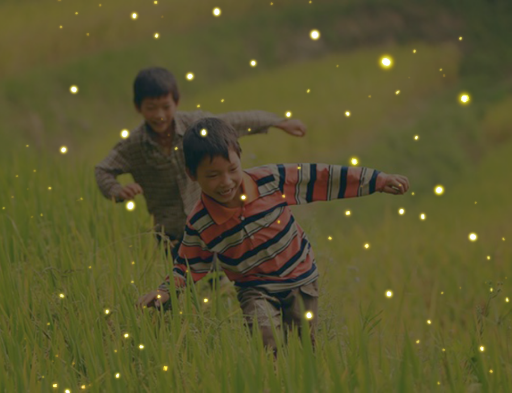 Exploring Night Tour in Cuc Phuong National Park