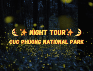 Exploring Night Tour in Cuc Phuong National Park