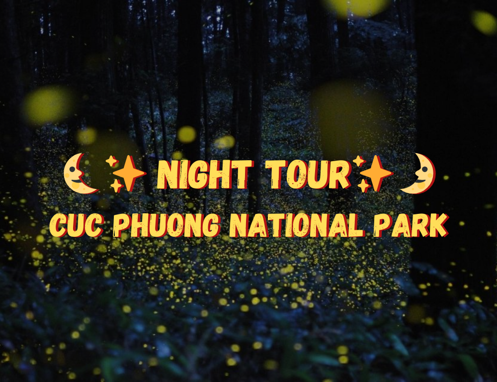 Exploring Night Tour in Cuc Phuong National Park