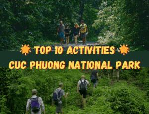 Cuc Phuong National Park: Top 10 Activities Not To Miss Out On