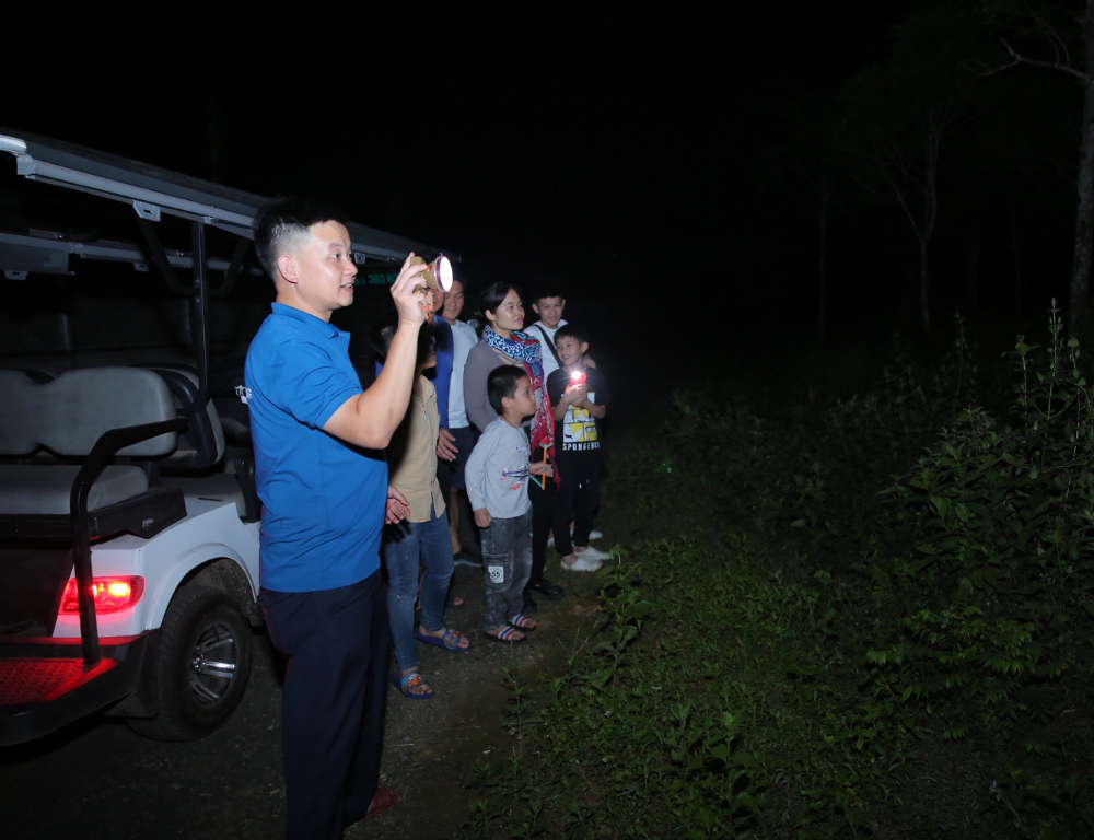 Exploring Night Tour in Cuc Phuong National Park