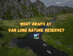 What Awaits at Van Long Nature Reserve?