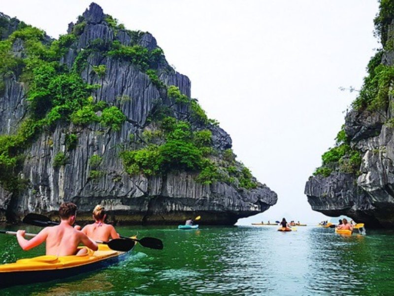 Halong Bay Full Day Tour: Where Nature's Wonders Unfold