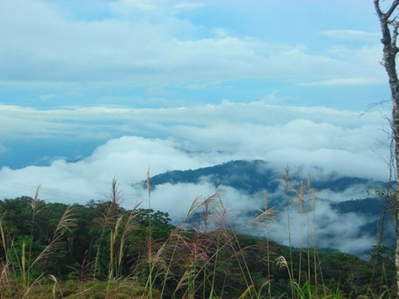 Hon Ba Mountain:Trekking to the "Second Da Lat" near Nha Trang