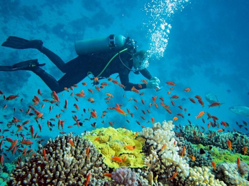 Nha Trang Diving: Exploring the Underwater World of Vietnam's Coast