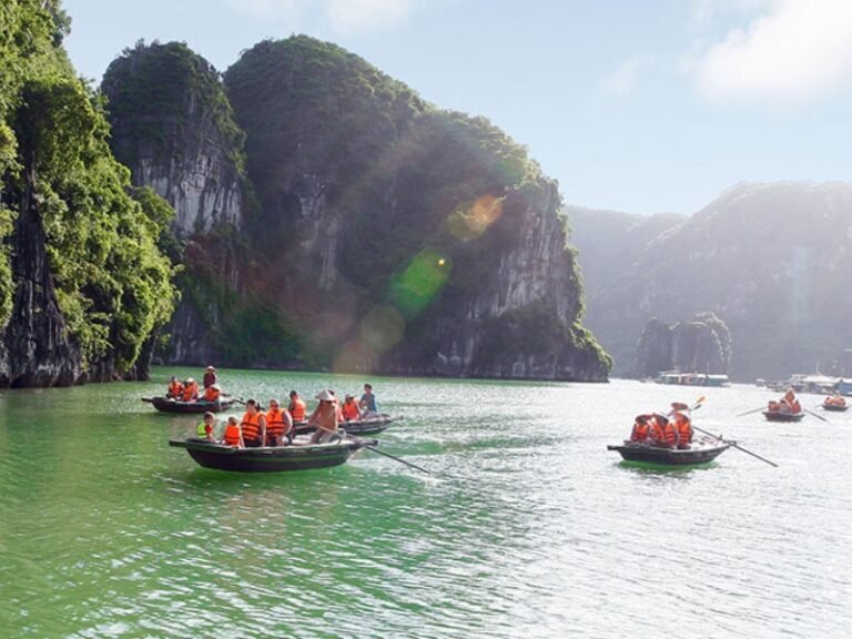 Top Some Summer Activities in Halong Bay You Shouldn't Miss