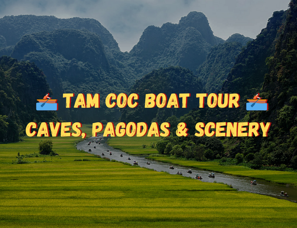 Tam Coc Boat Tour: Exploring Caves, Pagodas & Stunning Scenery