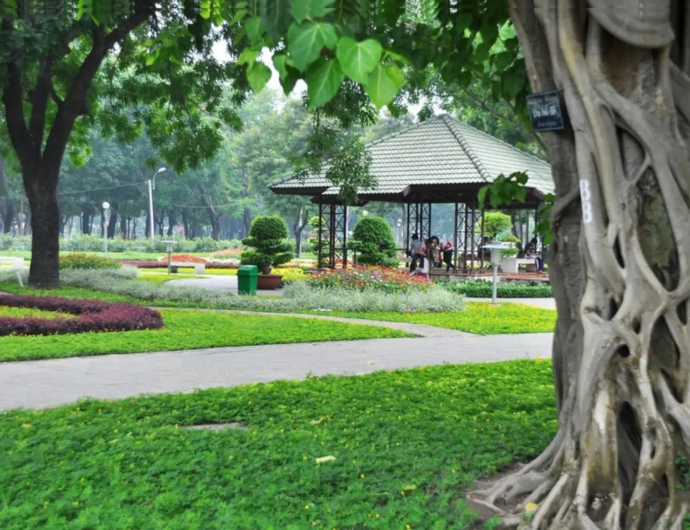 Things to Do in Ho Chi Minh City Parks: Picnic, Yoga, and More