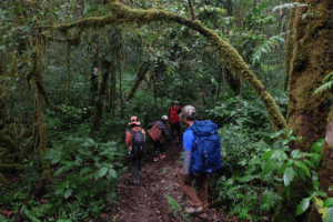 Da Nang Hiking Trails - Top 4 Attractions For Adventurers