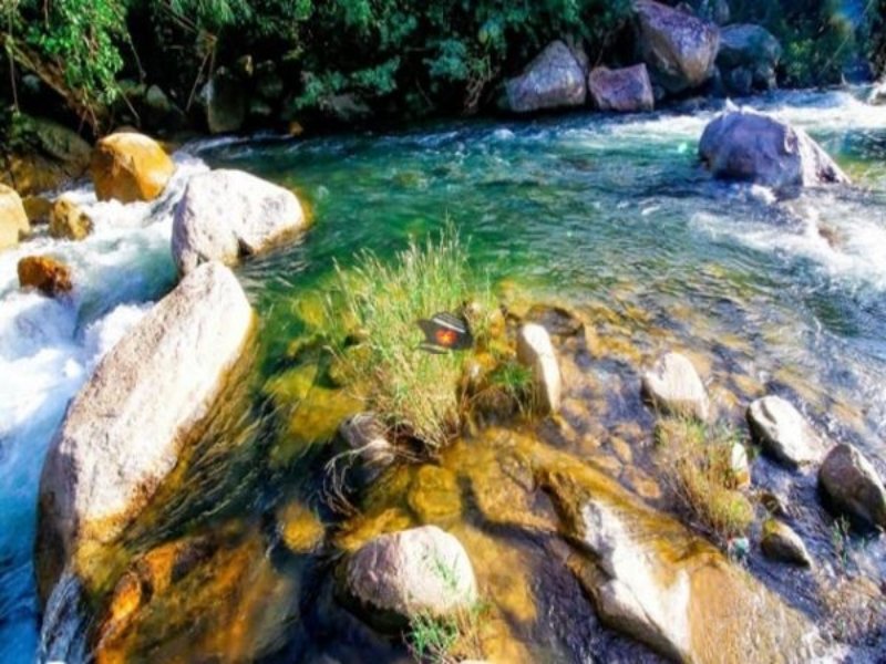 Fairy Stream Nha Trang: A Hidden Gem for Nature Lovers