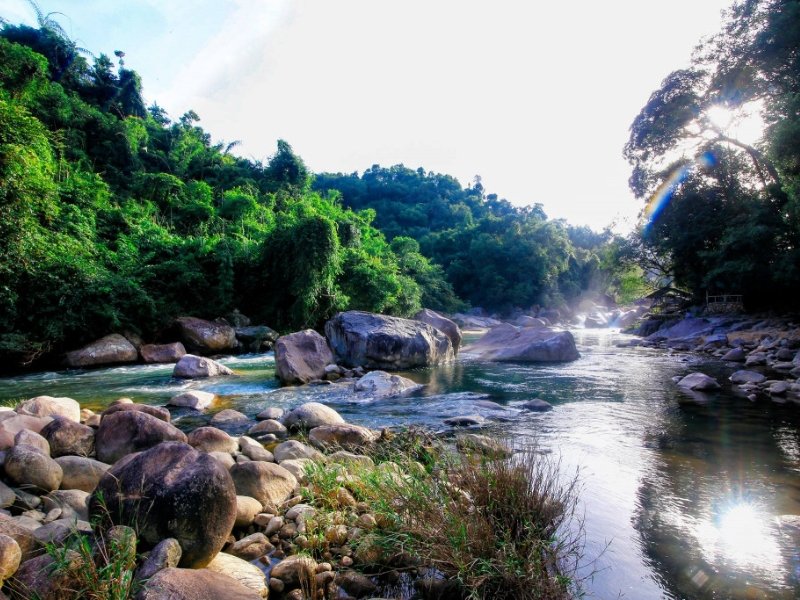 Fairy Stream Nha Trang: A Hidden Gem for Nature Lovers