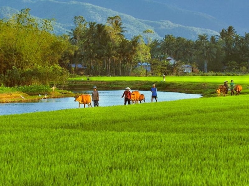 Exploring the Nha Trang Countryside: Rural Villages Unveiled