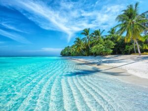Nha Trang Motorbike Trips: An Unforgettable Adventure