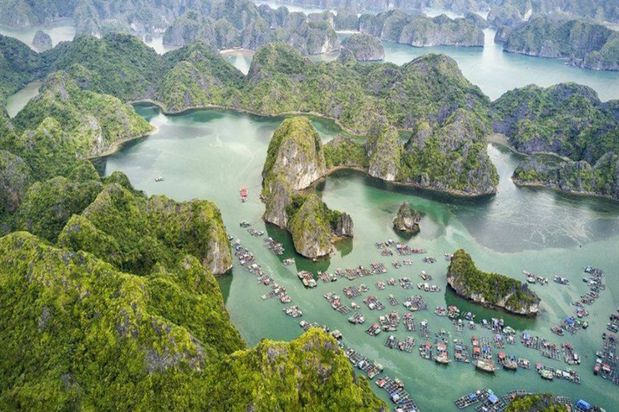 Halong Bay vs Lan Ha Bay