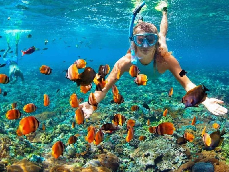 Discover Phu Quoc Snorkeling: Top Spots & Diving Adventures