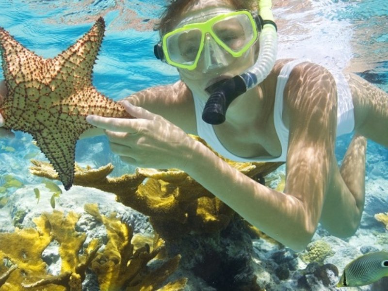 Discover Phu Quoc Snorkeling: Top Spots & Diving Adventures