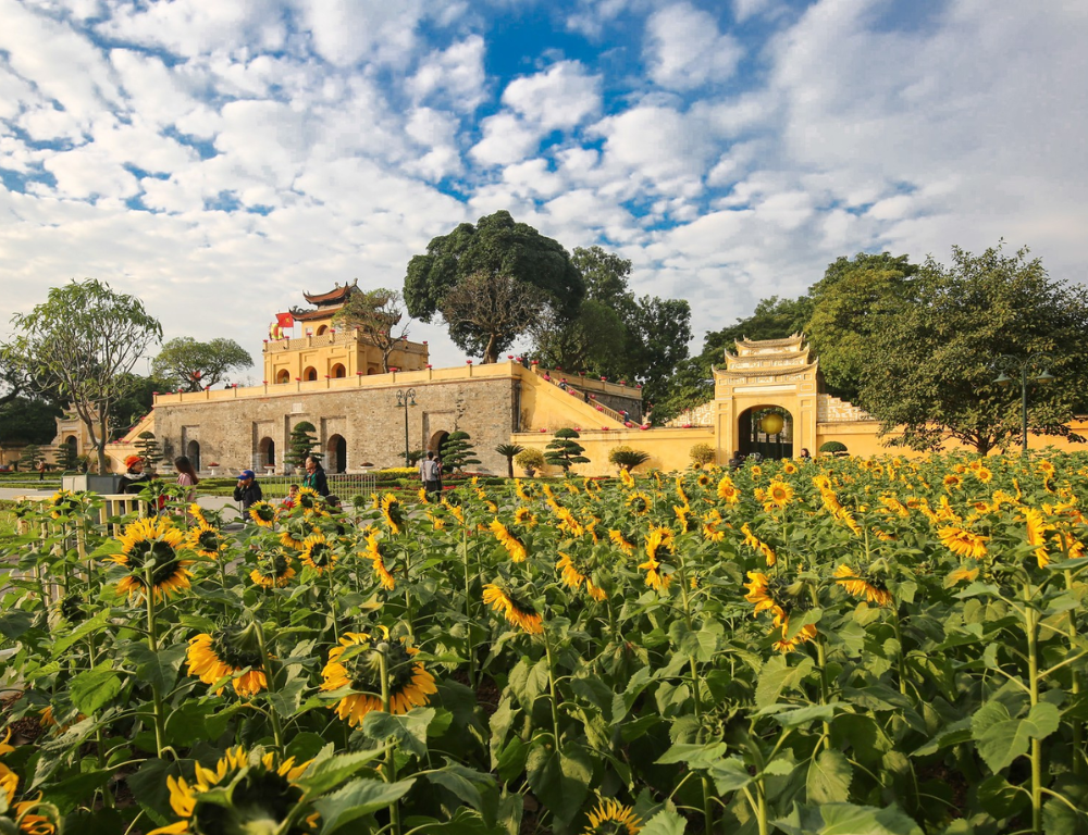 Top 10 Don't-Miss Experiences at the Imperial Citadel of Thang Long 2024