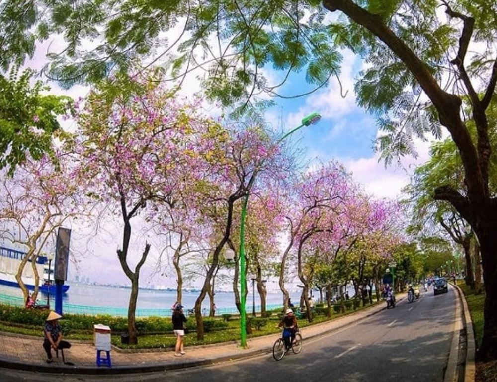 West Lake Hanoi: The Best Time to Visit and What to Expect