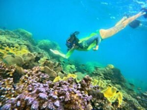 Explore Phu Quoc Private Diving: Unforgettable Underwater Adventures