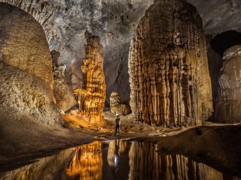 Discover Son Doong Cave Geology & Its Unique Ecosystems