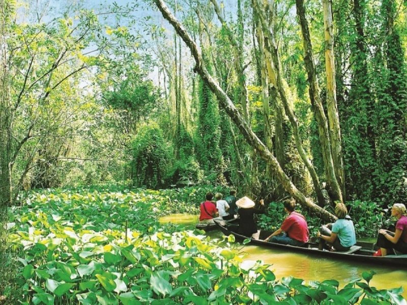 Best Vietnam Ecotourism Experiences for Eco-Conscious Travelers