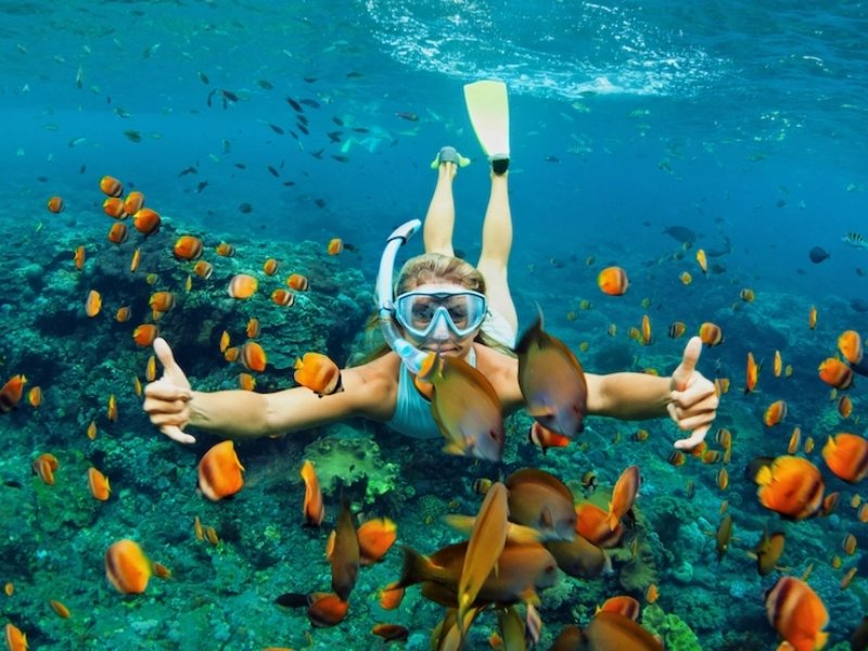 Best Scuba Diving Vietnam: Dive Into the Underwater Wonders