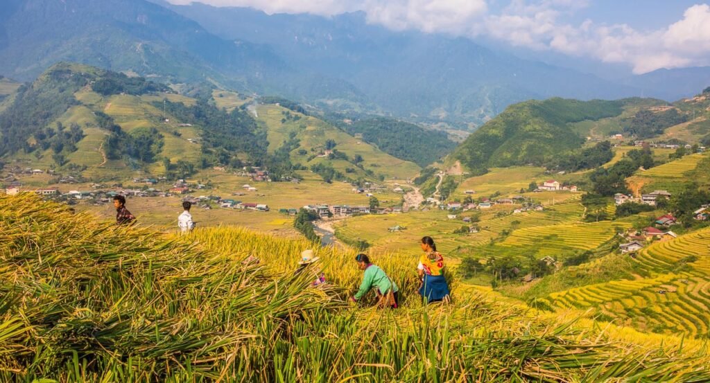 Sapa-Vietnam-for-Koreans-A-Guide-to-Southeast-Asias-Hidden-Gem