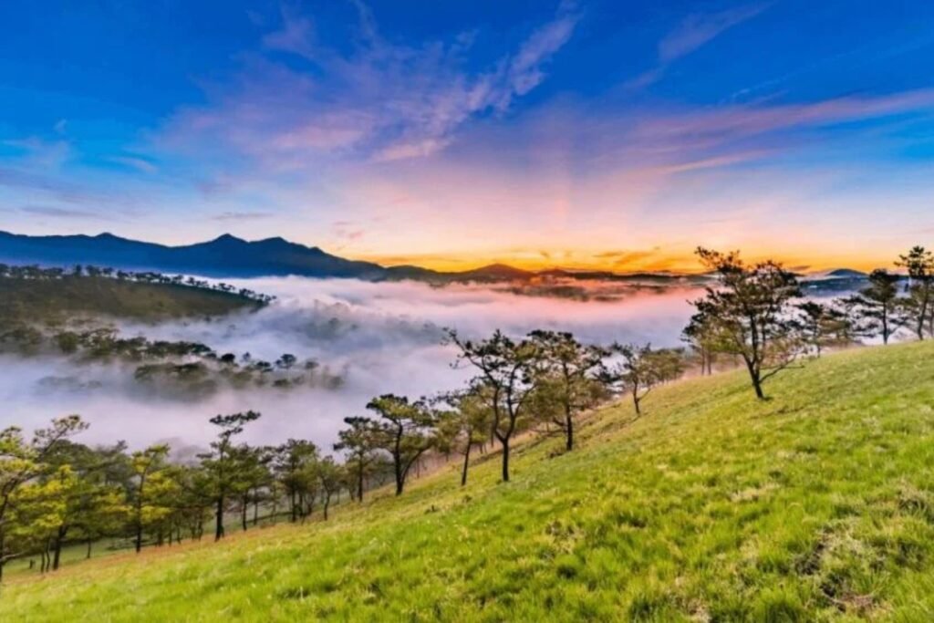 Why Da Lat Countryside is a Must-Visit for Nature Lovers