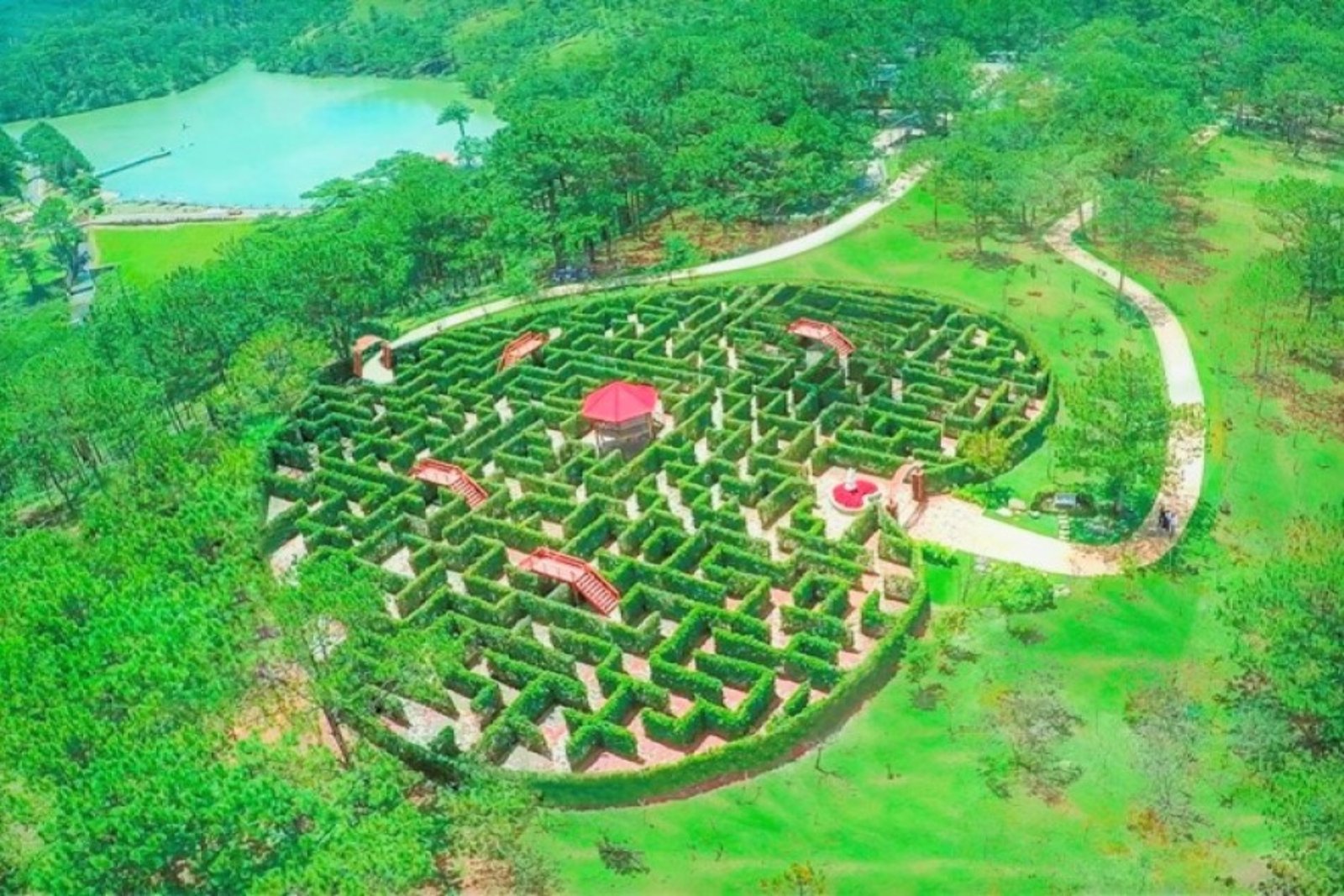 Da Lat Flower Gardens: A Blooming Paradise for Nature Lovers